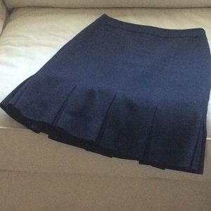 Ann Taylor skirt
